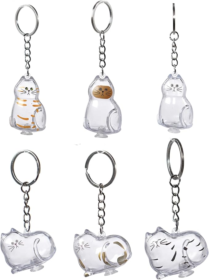BTYYIHEX 6 Pcs Cat Hair Keepsake Keychains – 2025 New Memorial Capsule Pendants, Fur Holder Bottles for Cat Lovers, Though...