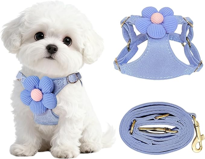 No Pull Dog Harness and Leash Set for Small Sized Dog Training; Puppy Harnesses with Multifunction Dog Leash, Soft Adjusta...