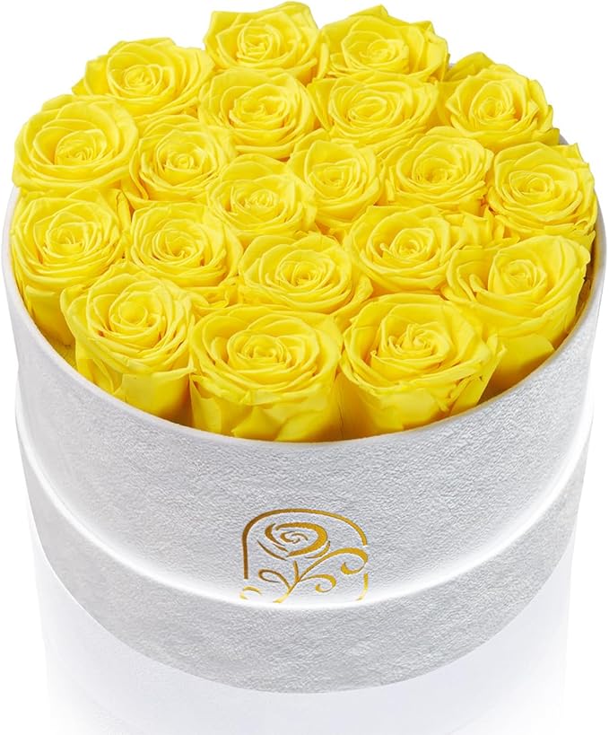 Gifts for Women Preserved Roses Flower Box, Luxury Velvet Box with 20 Roses, Preserved Flowers, Romantic Gift for Her, Wif...