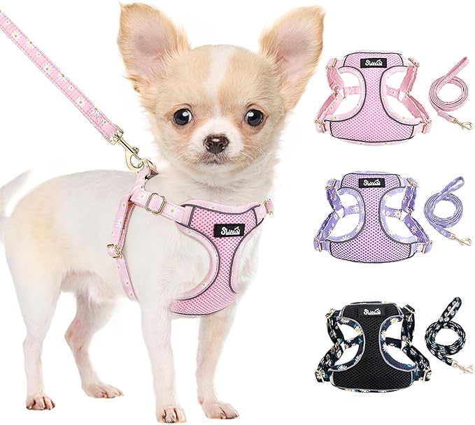 SlowTon Small Dog Harness - No Pull Dog Harness and Leash Set, Soft Mesh Lightweight Puppy Vest Harnesses, Adjustable Pet ...