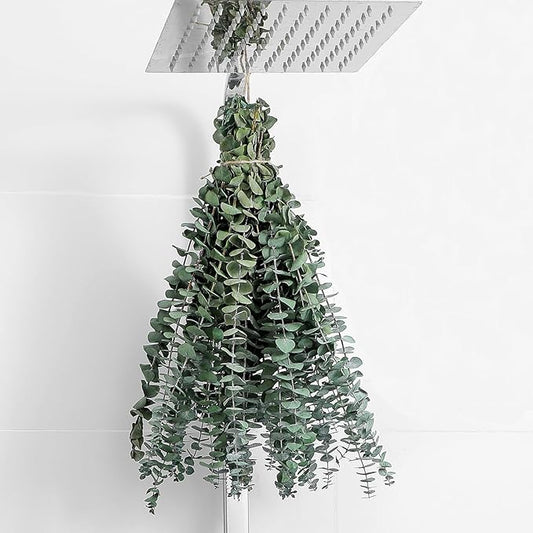 10 Pcs Dried Eucalyptus Stems 17" Real Eucalyptus for Shower Hanging 100% Made from Fresh Leaves, Wedding, Home, Farmhous...