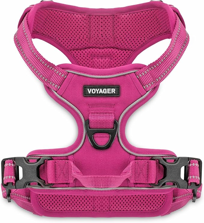 Voyager Dog Harness Dual Leash Attachment No-Pull Control Adjustable Soft but Strong Pet Harness for Medium and Large Dogs...