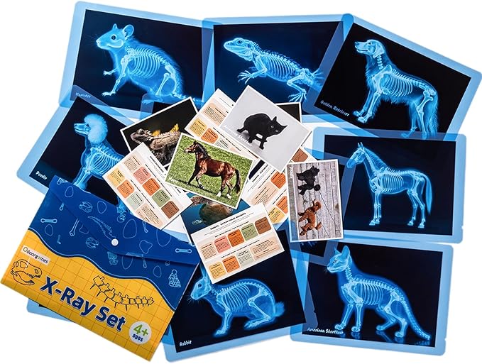 Odoorgames Pet Series Animal Xrays for Kids - Pet X-Rays Set, Light Table Manipulatives, Veterinarian Play Set & Dramatic ...