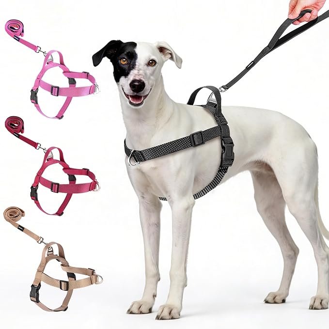 Annchwool No Pull Dog Harness with Front Clip and Easy Control Handle-Belly & Chest Adjustable Dog Harness and Leash Set f...