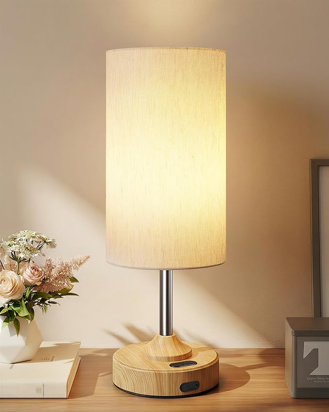EZVALO Cordless Table Lamp, Ambient Light, Dimmable, Touch, Timer, 2700K, Bedroom, Portable, LED, Wireless, Rechargeable, ...