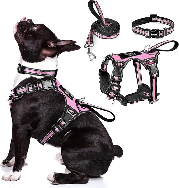 WINSEE Pet Harness Collar and Leash Set, All-in-one Reflective Dog Harness No Pull with Adjustable Buckles for Puppies, Sm...