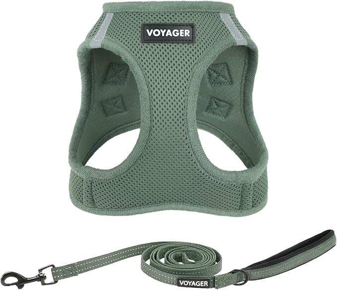 Best Pet Supplies Voyager Step-in Air All Weather Mesh Harness and Reflective Dog 5ft Leash Combo with Neoprene Handle, fo...