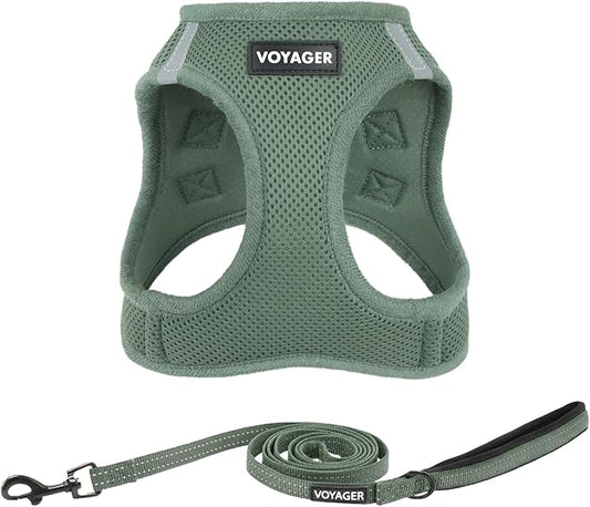 Best Pet Supplies Voyager Step-in Air All Weather Mesh Harness and Reflective Dog 5ft Leash Combo with Neoprene Handle, fo...