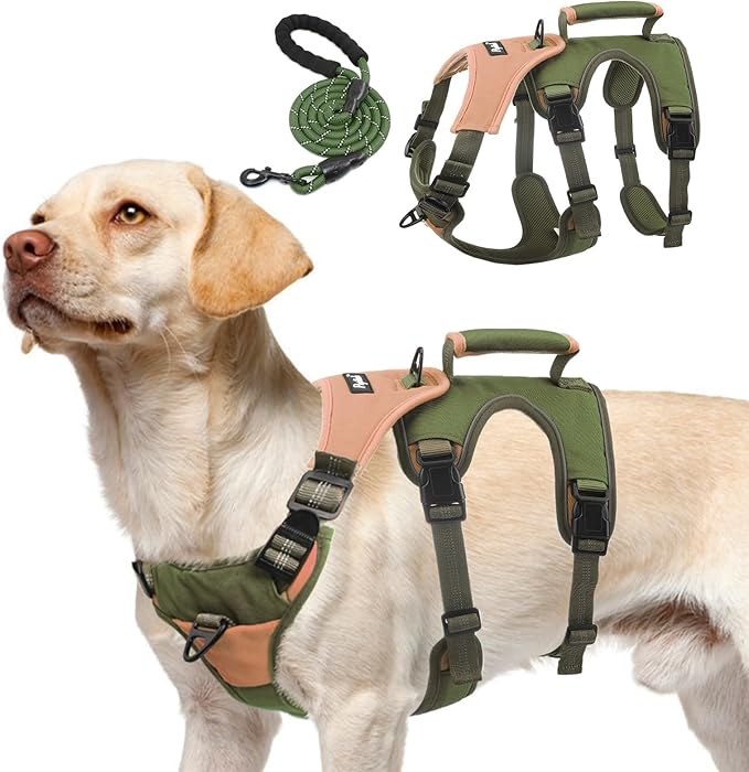 PUPTECK Escape Proof Dog Harness and Leash Set Upgraded No Pull Reflective Dog Vest with Lift Handle, Easy Control Pet Har...