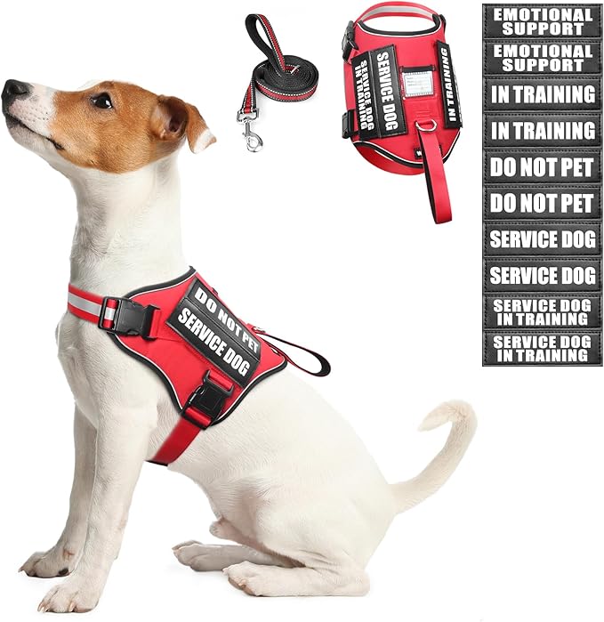 Service Dog Harness and Leash Set, Training Dog Vest with 10 Dog Patches, Emotional Support Therapy Dog Vest Harness for S...