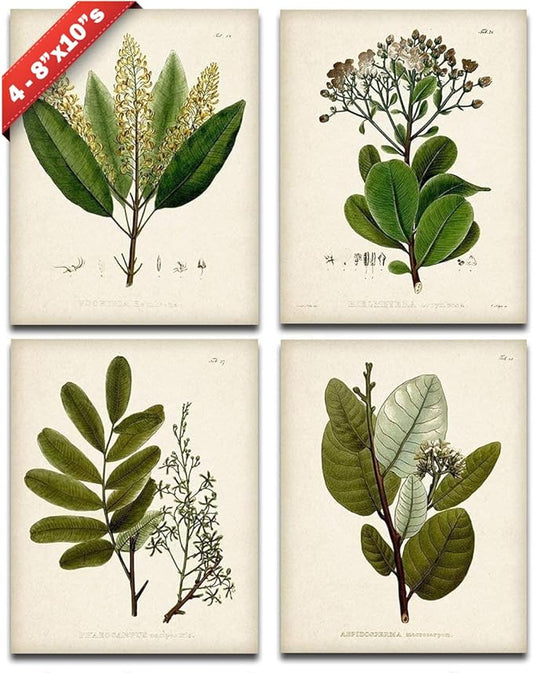 Set of 4 Sage Botanical Wall Art Prints 8x10 Unframed – Vintage Green Plant Prints for Bathroom, Kitchen, or Living Room D...
