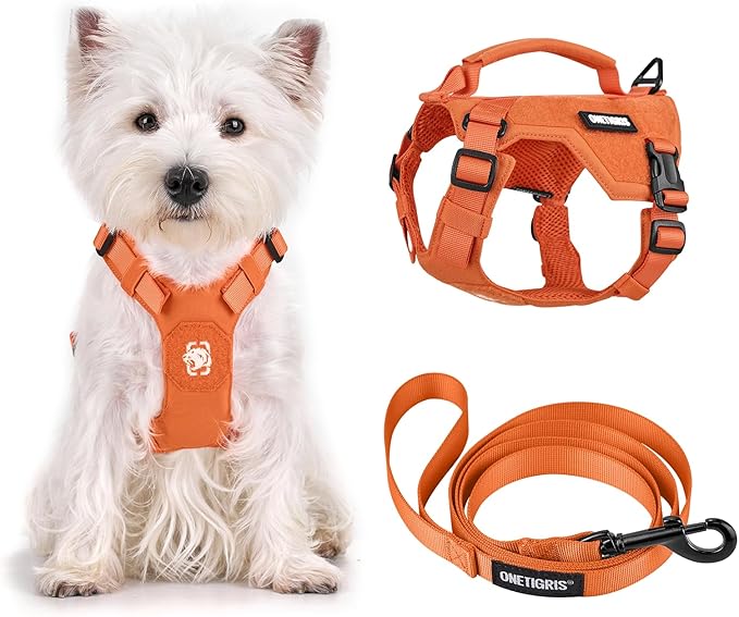 Onetigris Small Harness Dog Harness and Leash Set,MINI Trooper No Pull Dog Vest Fully Adjustable Harness for Puppy Dog and...