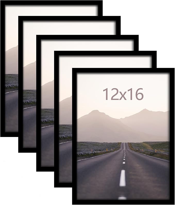 Fisnish 12x16 Picture Frame 5 Pack, Classic Black Poster Frame for Horizontal or Vertical Wall Mounting