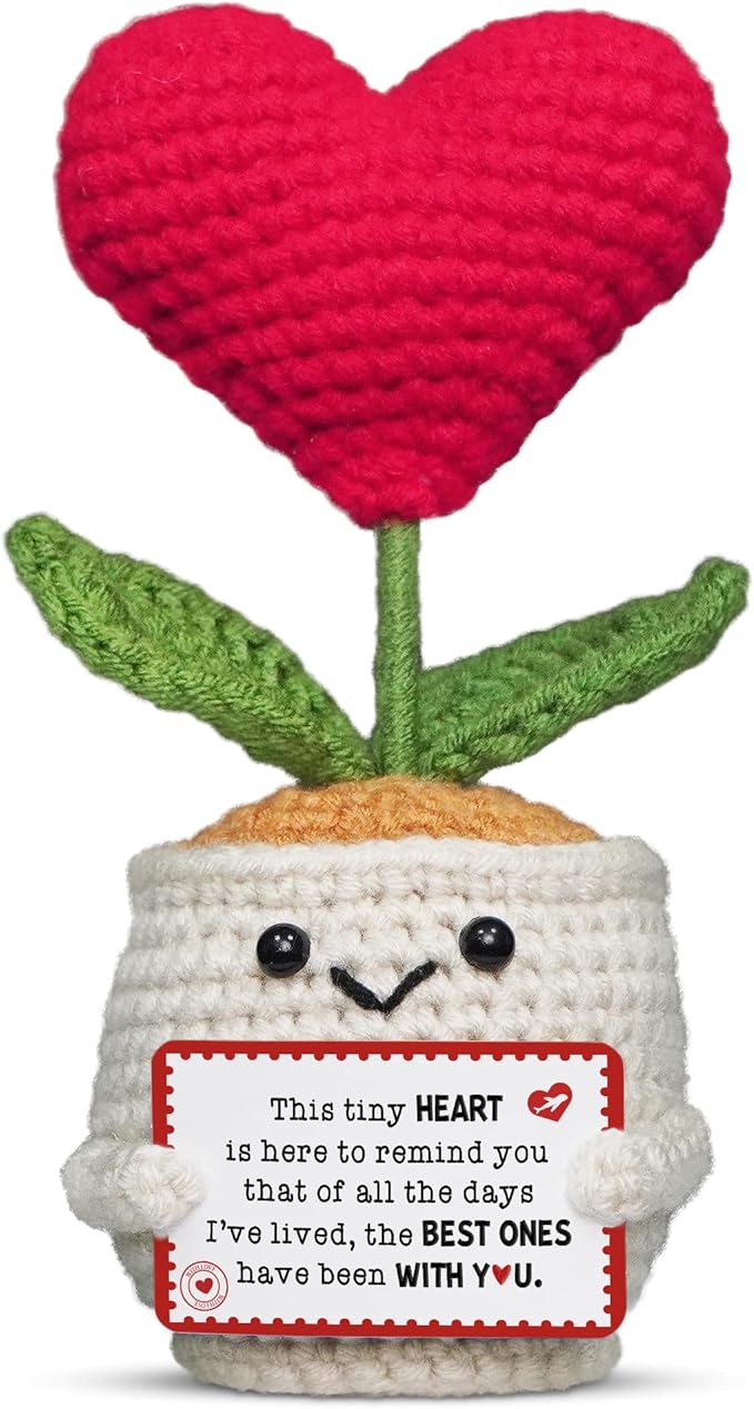 OASSIE Anniversary Couple Gifts for Women Men - Heart Flower Pot Crochet - Romantic Anniversary Wedding Mothers Day Birthd...