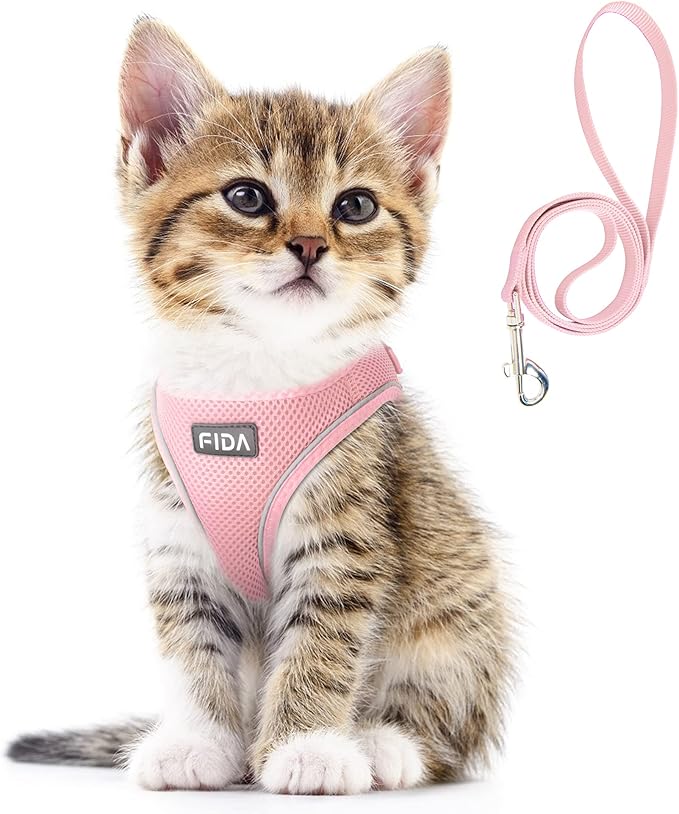 Fida Comfy Dog Harness with Leash, Cat Vest Harness Escape Proof, Breathable Lightweight Soft Mesh, Adjustable Reflective ...