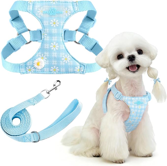 PETCARE Cute Small Dog Harness and Leash Set Blue Floral Daisy Puppy Harness Vest Adjustable Step in Spring Summer Soft Me...