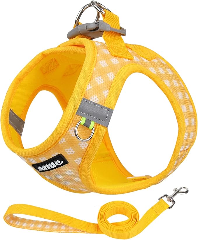 AIITLE No Pull Dog Harness and Leash Set, Step in No Chock Soft Mesh Dog Harnesses Reflective for Extra-Small Puppy Dogs a...