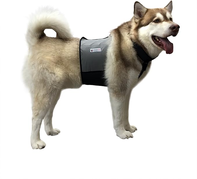 CoolerDog Dog Cooling Vest & Cooling Collar – Ice Vest for Hot Weather Heat Relief, Re-Freezable Pure Water Inserts (Large...