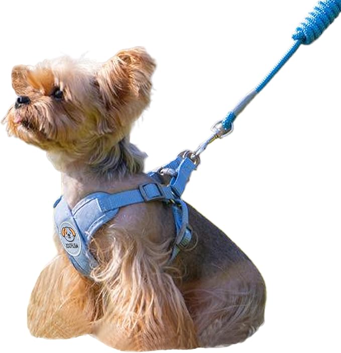 ZOOFLEM Dog Harness with Leash Set, Puppy Soft Vest No Choke No Pull, Adjustable Neck and Chest, Lightweight Harness and A...