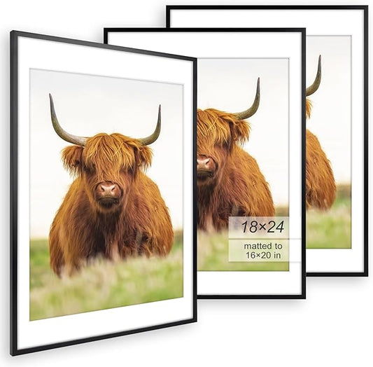 Golden State Art 18x24 Picture Frame Set of 3 - Black Thin Border - Display Photo 16x20 with Mat or 18x24 Without Mat - Po...