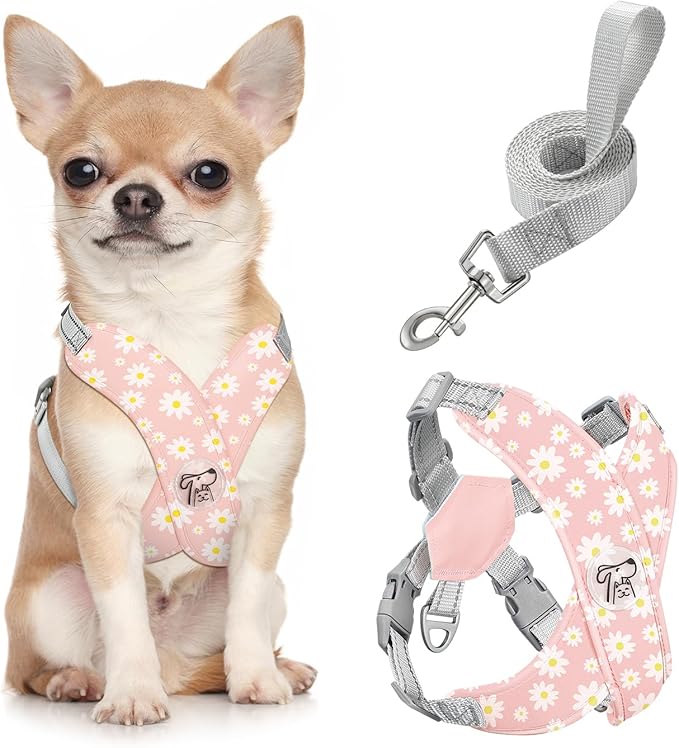Pawaboo Small Dog Harness and Leash Set, Puppy Harness X-Frame No Pull No Choke, Dog Vest Harness Adjustable for Small Med...