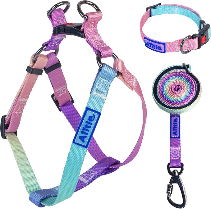 AIITLE No Pull Dog Harness & Leash & Collar - Adjustable Basic Collar with A Heavy Duty Leash - Super Sturdy Buckle and D ...