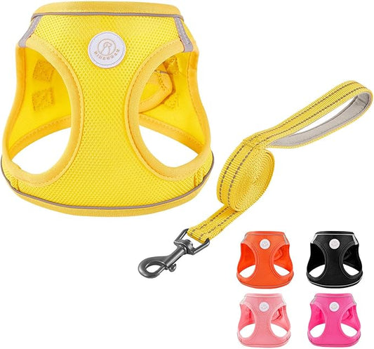 HIHANHAN Soft Mesh Dog Harness and Leash Set, No Pull Puppy Harness and Leash Set, Reflective Step in Harness for Small Me...