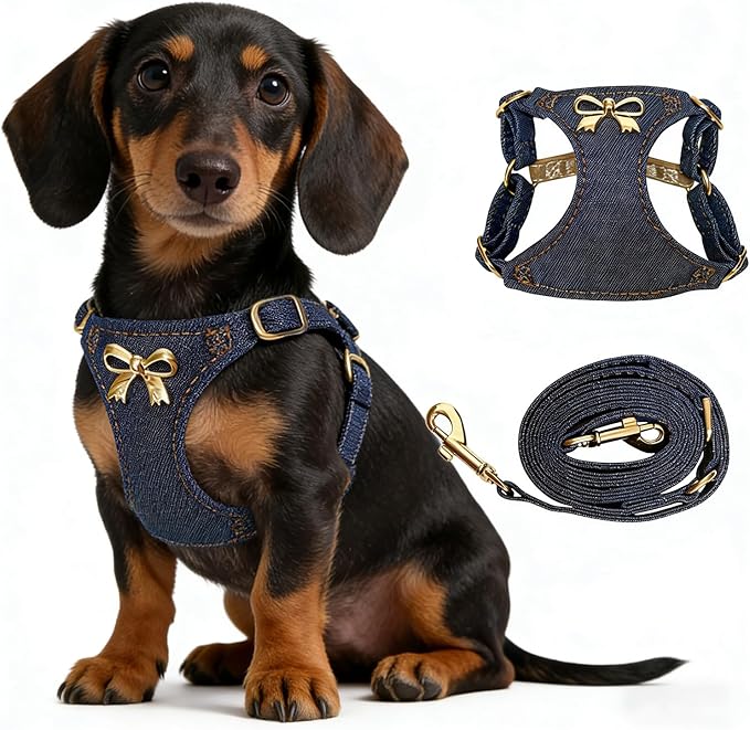 No Pull Dog Harness and Leash Set for Small Sized Dog Training Puppy Harnesses with Multifunction Dog Leash Soft Adjustabl...