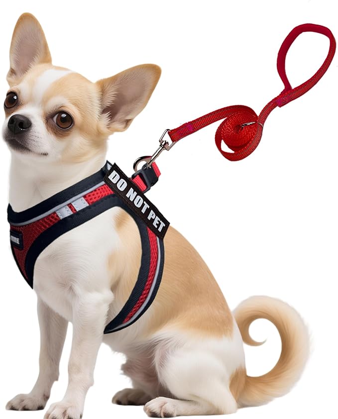 Service Dog Harness Vest Set Emotional Support Small Size Dog- 6PCS Removable Patches -Mesh Puppy Harness and Leash Set Tr...