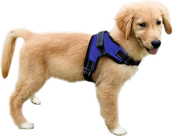 Copatchy No Pull Reflective Adjustable Dog Harness With Handle- Comfortable Soft All Weather Mesh, Easy On Puppy Harness F...