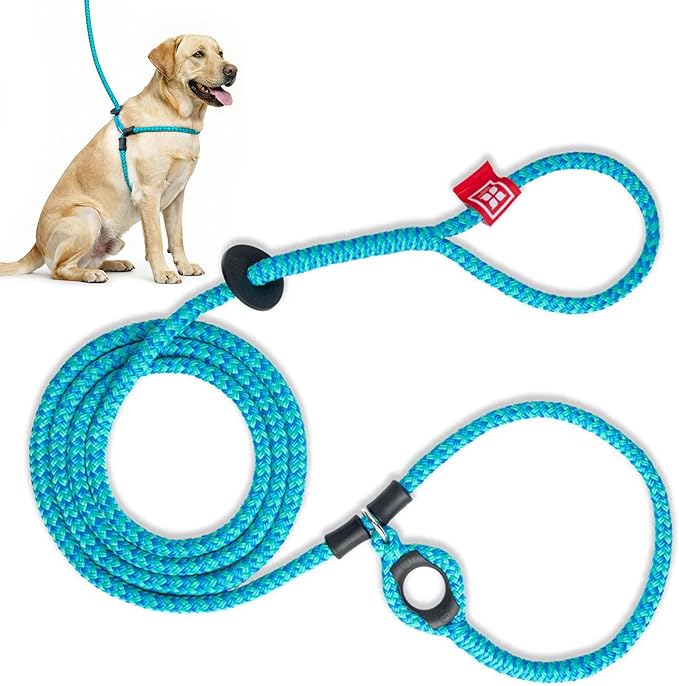 Harness Lead No Pull Dog Harness and Leash Set, Anti Pull Dog Harness for All Breeds and Sizes, One-Piece Cushioned Rope D...