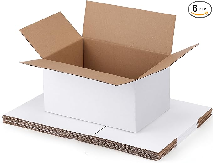 SPEPLA Shipping Boxes 9x6x4 Set of 6, White Corrugated Cardboard Box for Mailing Business Packaging