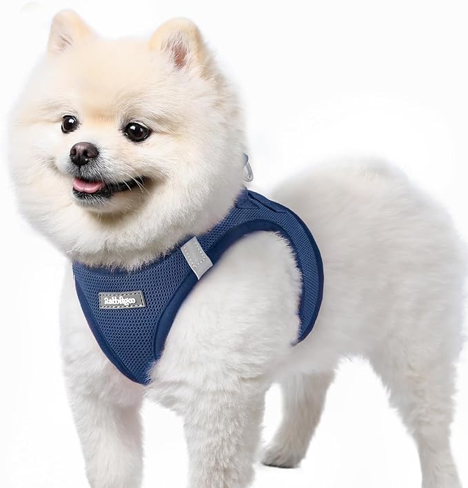 rabbitgoo Small Dog Harness, Step-in Soft Mesh Puppy Vest with Safety Buckle, Breathable Reflective Pet Harness for Small ...