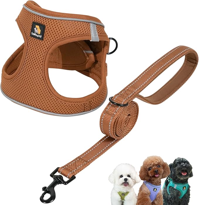 BELLA & PAL Step in Vest Harness for Small and Medium Dogs, No Pull Puppy Harness with Leash Set, Comfortable Air Mesh Dog...