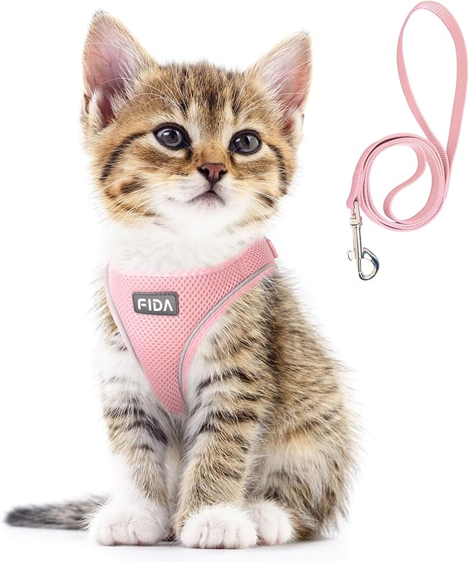 Fida Cat Harness and Leash Set for Walking Kitten and Puppy, Escape Proof Kitten Harness with Breathable Lightweight Soft ...