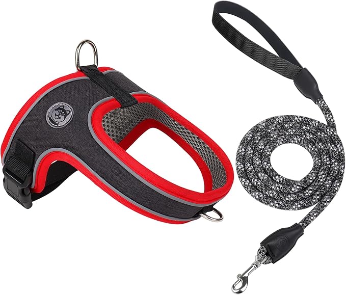 Dog Harness and Leash Set, No Pull Saddle Style Pet Harness, Breathable Mesh Adjustable Reflective Dog Vest for Dogs and C...