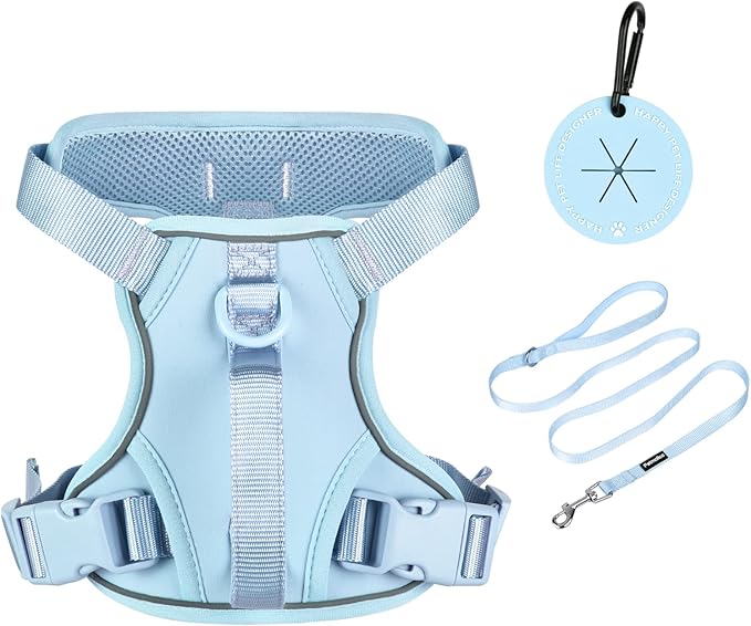 Petmolico Dog Harness for Small Dogs, Cute Harness Vest with Two Leash Clips and Soft Handle, Reflective Easy Walk Puppy V...