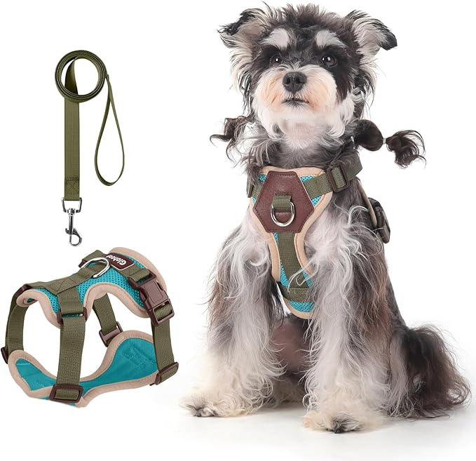 Small Dog Harness and Leash Set, Breathable Mesh Puppy Harness, Adjustable Dog Harness for Small Medium Large Dogs, No-Pul...