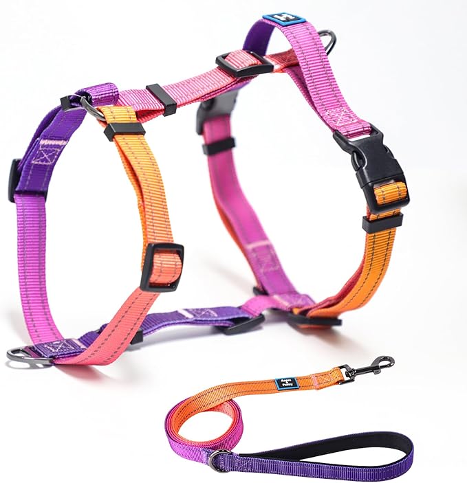 Roses&Poetry Dog Harness for Large Dogs, No-Pull Dog Harness and Leash Set Adjustable Reflective, Dog Vest Harnesses Comfo...