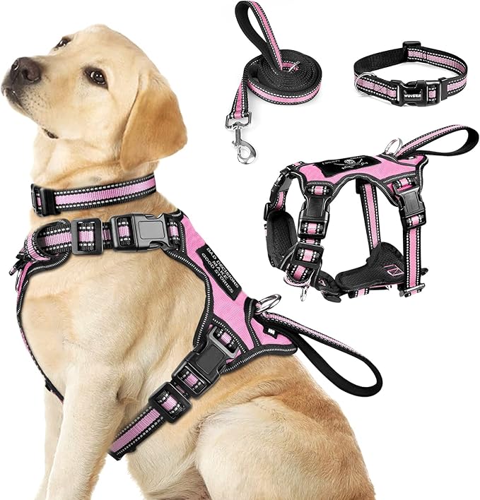 WINSEE Pet Harness Collar and Leash Set, All-in-one Reflective Dog Harness No Pull with Adjustable Buckles for Puppies, Sm...