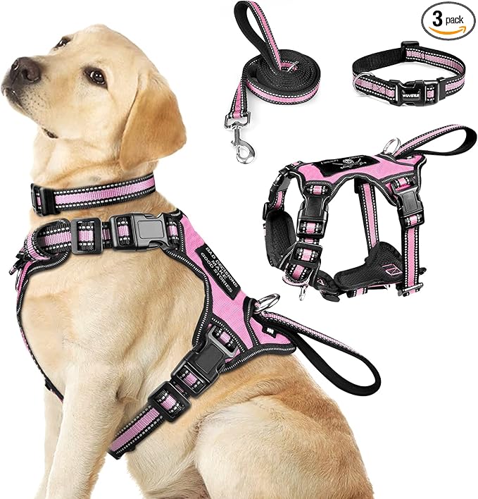 WINSEE Pet Harness Collar and Leash Set, All-in-one Reflective Dog Harness No Pull with Adjustable Buckles for Puppies, Sm...