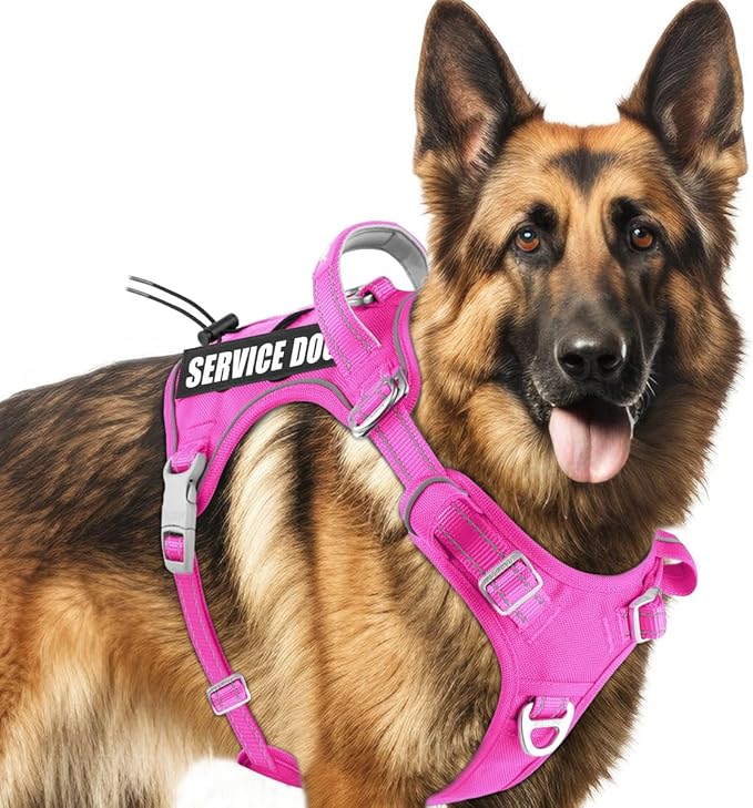 BARKBAY Service Dog Vest Tactical Dog Harness Medium Large Sized Dog No Pull Adjustable Dog Harness Reflective K9 Working ...