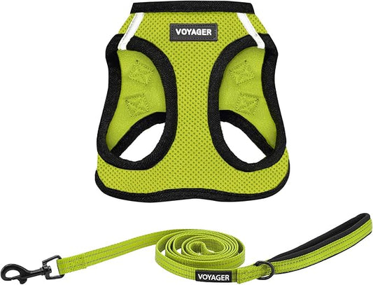 Best Pet Supplies Voyager Step-in Air All Weather Mesh Harness and Reflective Dog 5ft Leash Combo with Neoprene Handle, fo...