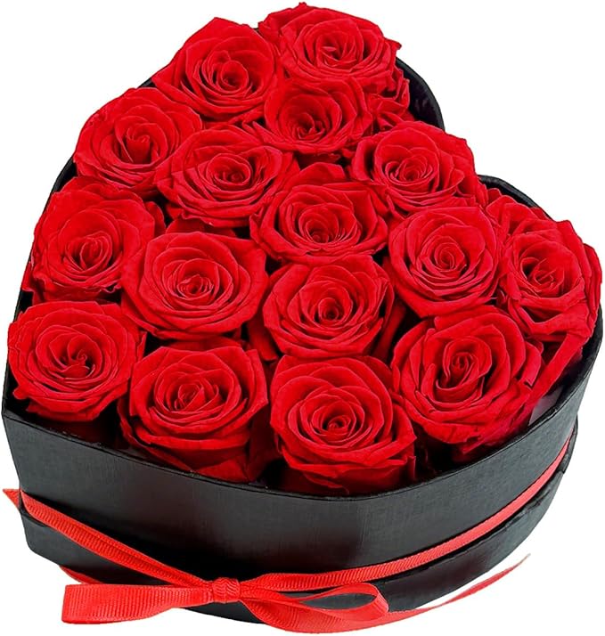 Qutawua Preserved Roses Heart Shape Box Valentines Day Gifts for Her Mothers Day Forever Flowers (Red, 16 Roses)