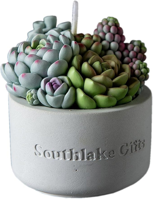 Assorted Succulent Pot Scented Vegetable Wax Candle for Spa Home Decoration Wedding Gift