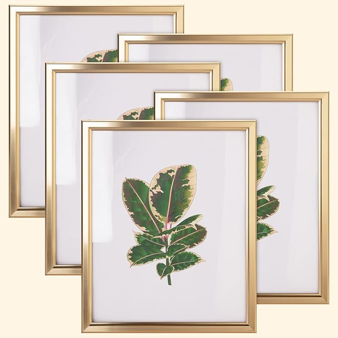 euwazram 8x10 Picture Frame - Set of 5, Matte Gold 8 x 10 Photo Frame with High-Definition Glass, Modern 8x10 frame for Ta...