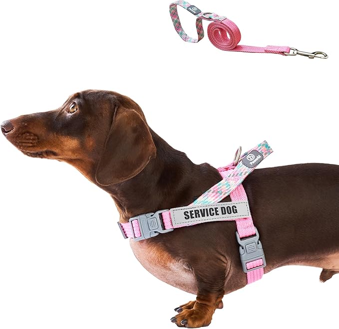 Paworld Service Dog Harness and Leash Set, No-Pull Service Dog Vest with 4 PCS Reflective Patches, Dog Vest Harness with H...