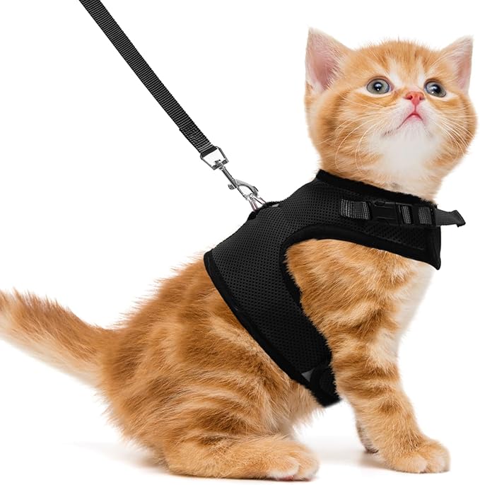 PUPTECK Soft Mesh Cat Vest Harness and Leash Set Puppy Padded Pet Harnesses Escape Proof for Cats Small Dogs Rabbits Bunn...