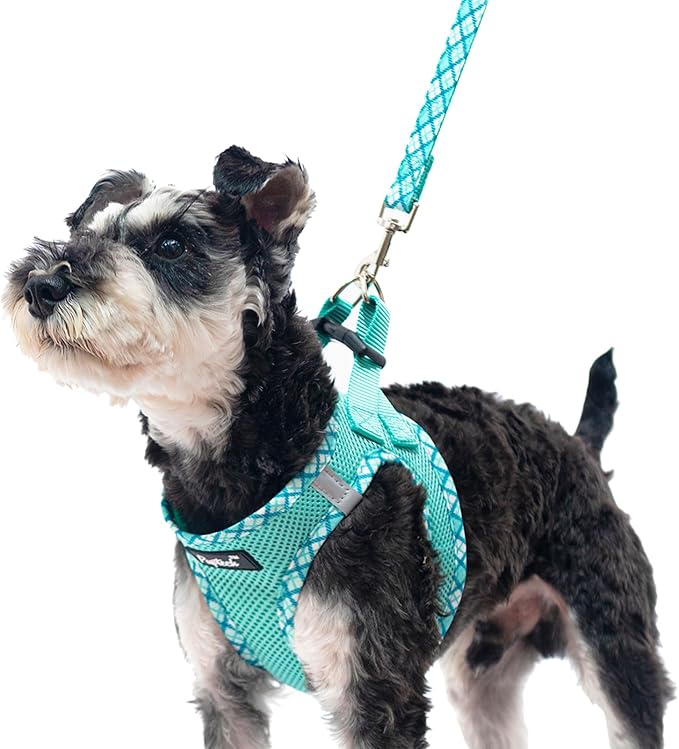 PUPTECK Dog Harness and Leash Set for Small Medium Dogs No Pull Step-in Soft Mesh Puppy Cat Vest Harnesses Reflective at N...