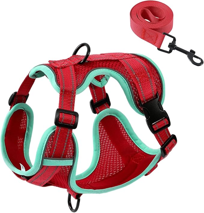 PAWDAY No-Pull Dog Harness with Dog Leash Breathable Mesh Adjustable Soft Padded Pet Vest Reflective for Small/Medium/Larg...